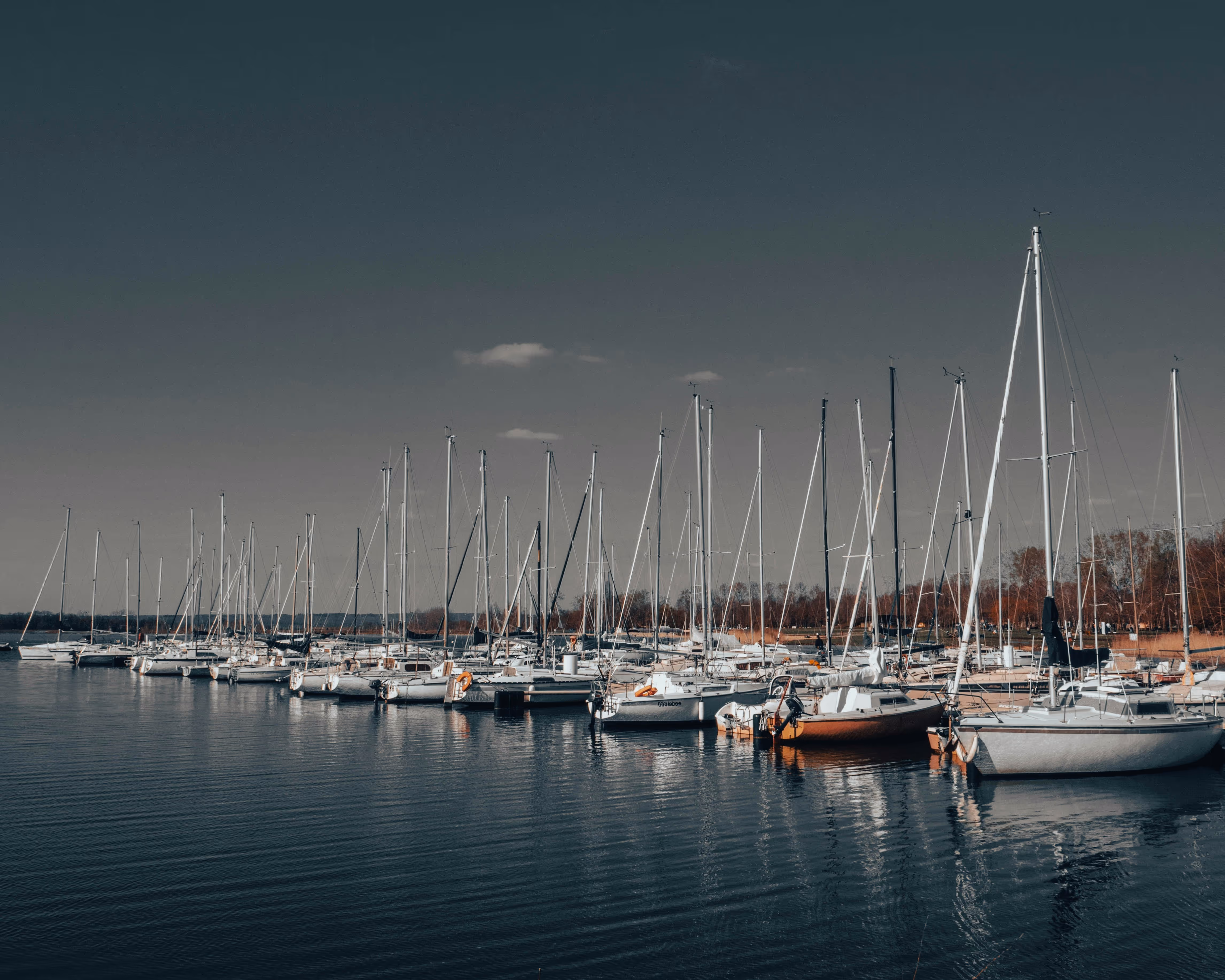 Marina reservation software for boat rental businesses