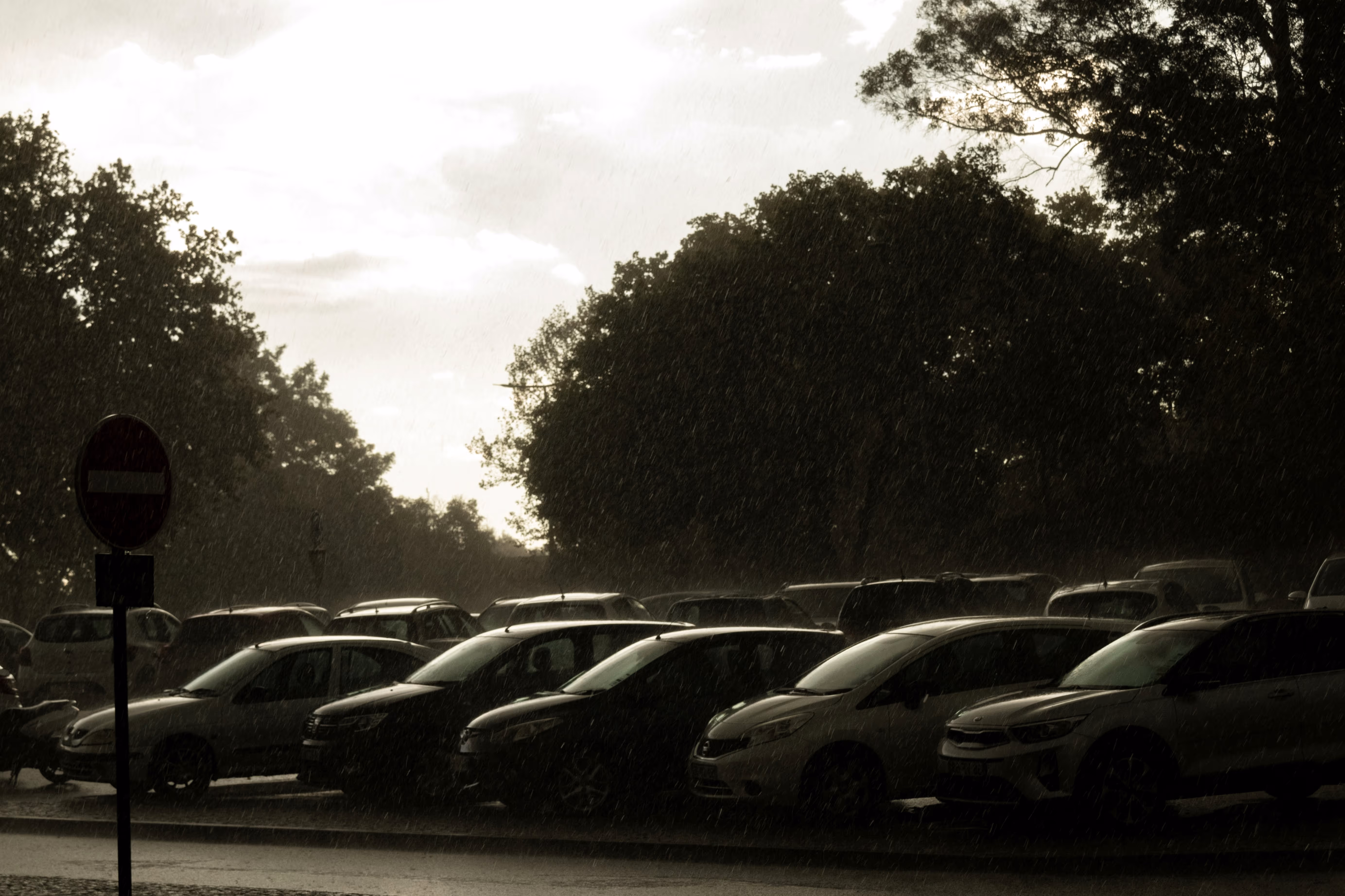 Vehicle rental business operations